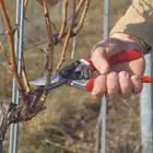 Kit Promocional Tesoura de Poda Felco 8 + Lâmina F-TECH - Kit Promocional Tesoura de Poda Felco 8 + Lâmina F-TECH